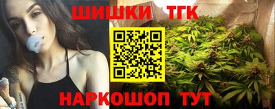стаф Камышлов