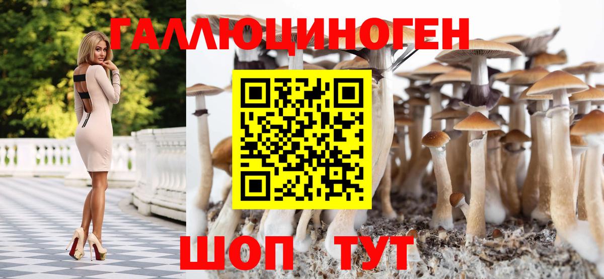 Майкоп  Галлюциногенные грибы прущие грибы  Галлюциногенные грибы мухоморы  Вход с VPN 