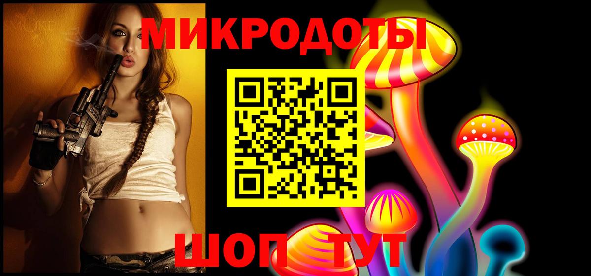 Псилоцибиновые грибы Psilocybe Майкоп